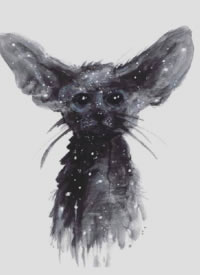 9张黑白动物星云插画纹身素材图片