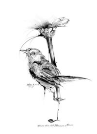 极简风格的点线水墨风纹身手稿图片