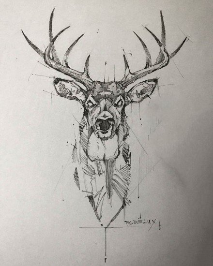 36组动物线条创意设计手稿图案