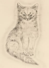 可爱小猫的神态图纹身手稿赏析