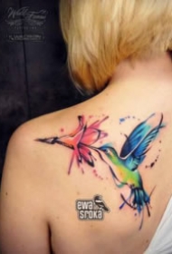 小清新的一组水彩飞鸟纹身图案