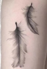 很小清新的一组飘逸羽毛纹身图片9张