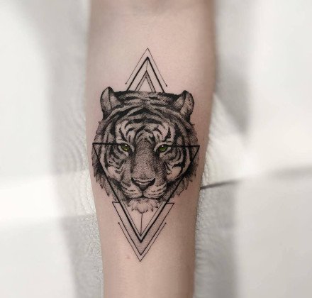 暗水彩风格的狮子等动物纹身图案18张