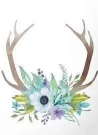 小清新的一组彩色鹿角纹身手稿图片