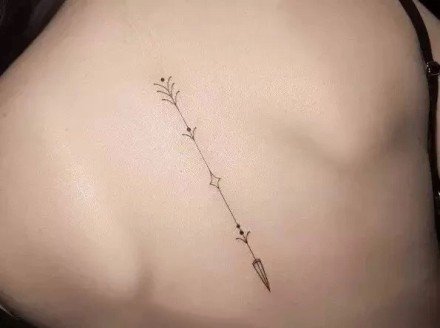 18张女性后背脊椎上的漂亮纹身图案