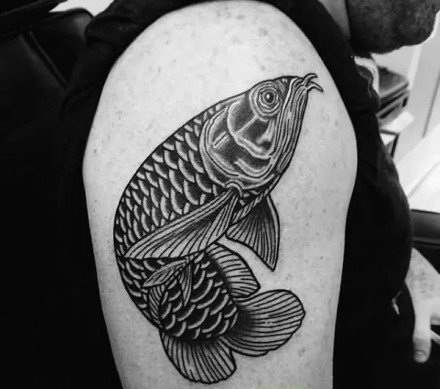好看的一组传统金龙鱼纹身图案