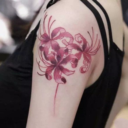 漂亮的一组曼陀罗彼岸花纹身图案