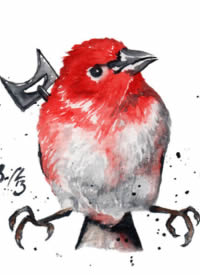 50张水彩色知更鸟等小鸟纹身手稿