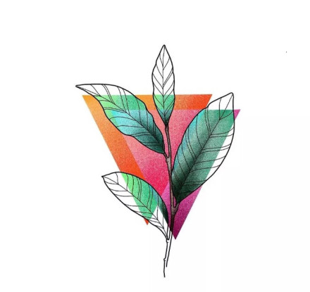 好看的一组彩色花卉设计纹身手稿图片