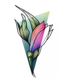 好看的一组彩色花卉设计纹身手稿图片