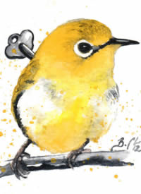 水彩色知更鸟等小鸟手稿（二）46张