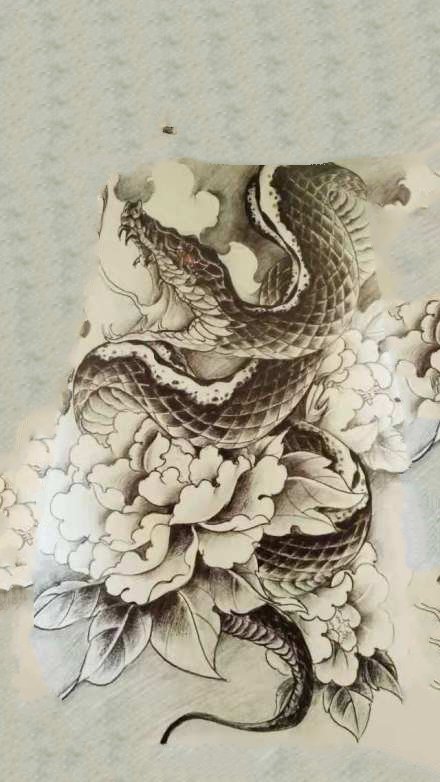 9张蛇盘牡丹的纹身手稿图片
