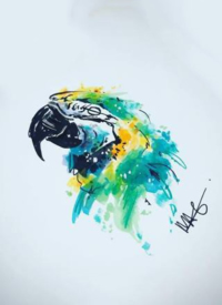 一组水彩色小鸟的纹身素材图片