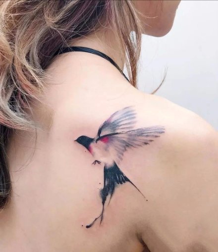 很好看的9张燕子等飞鸟纹身图案