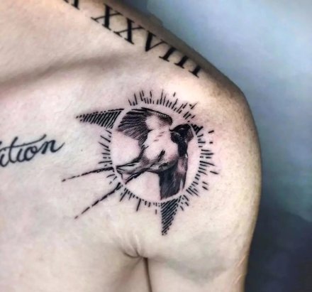 很好看的9张燕子等飞鸟纹身图案