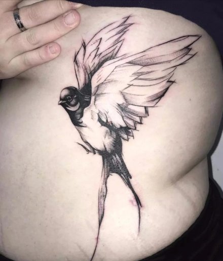 很好看的9张燕子等飞鸟纹身图案