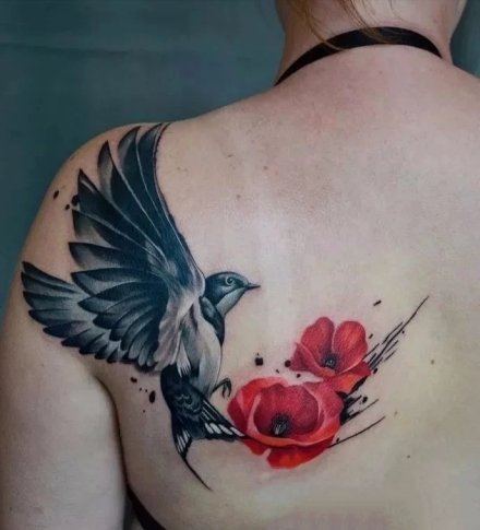 很好看的9张燕子等飞鸟纹身图案