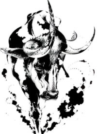 18组超创意的黑色动物纹身手稿素材图片