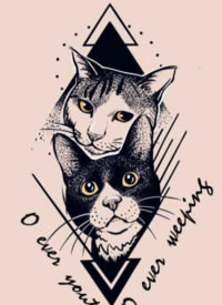 一组小猫咪的小纹身手稿图片