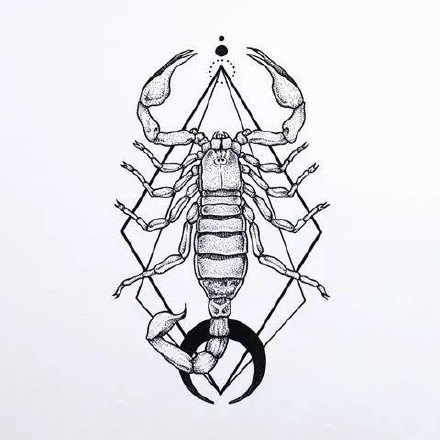 40组漂亮的蝎子纹身手稿素材图案