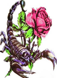 40组漂亮的蝎子纹身手稿素材图案