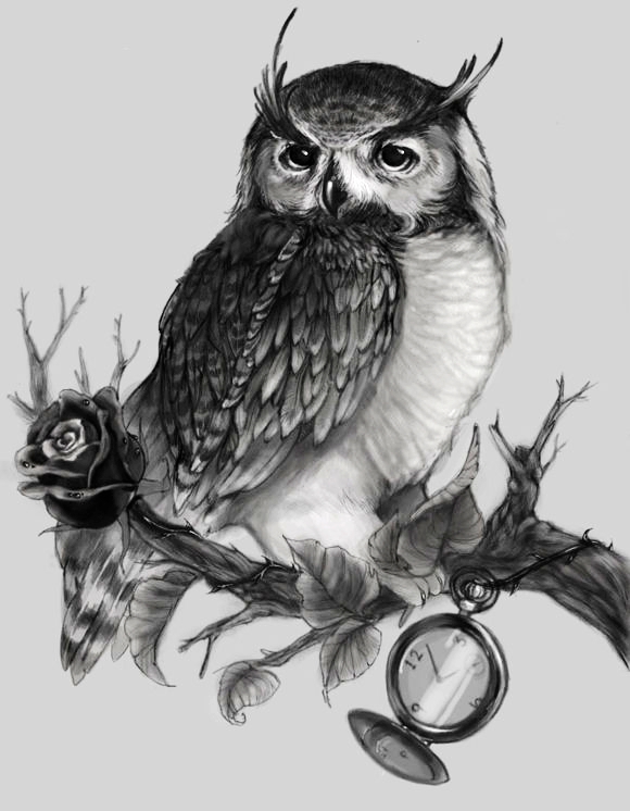 38组猫头鹰主题的纹身手稿素材图片