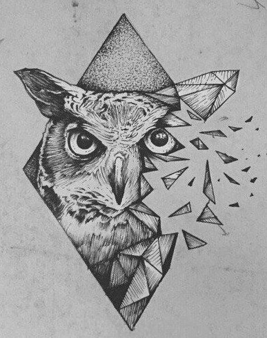 38组猫头鹰主题的纹身手稿素材图片