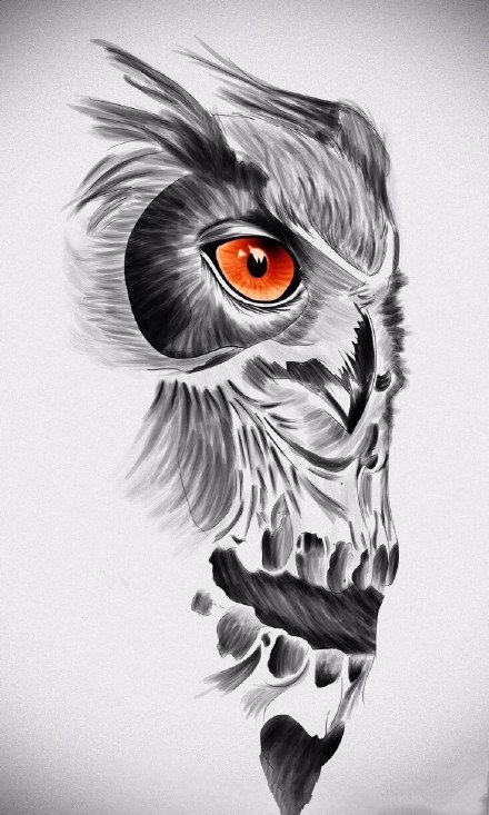 38组猫头鹰主题的纹身手稿素材图片