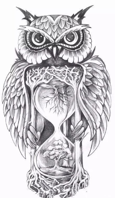 38组猫头鹰主题的纹身手稿素材图片