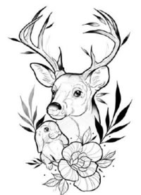 一组漂亮的school动物图案纹身线稿