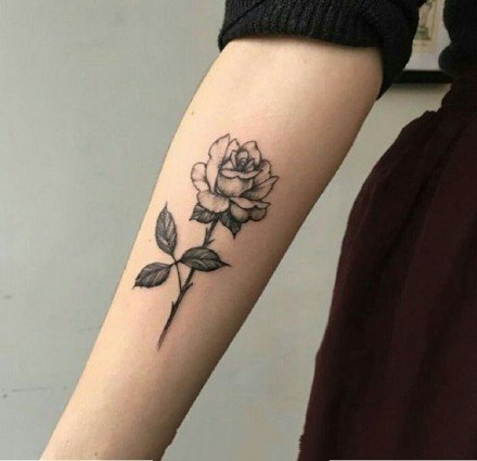 漂亮的一枝玫瑰花纹身图案9张