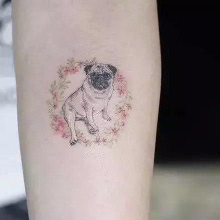 18组可爱的小猫小狗的宠物纹身图