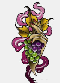 一组彩色的水果纹身手稿图片