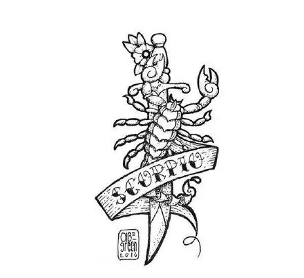 12组小清新的十二星座纹身手稿图案