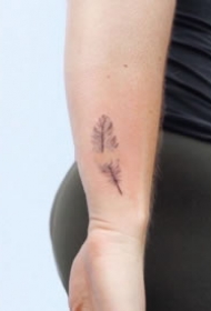 简约的小羽毛纹身作品9张
