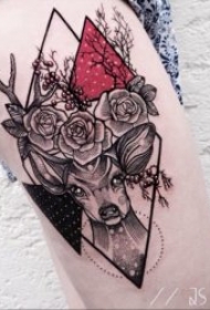 鹿的纹身图案    8张古灵精怪的鹿纹身图案