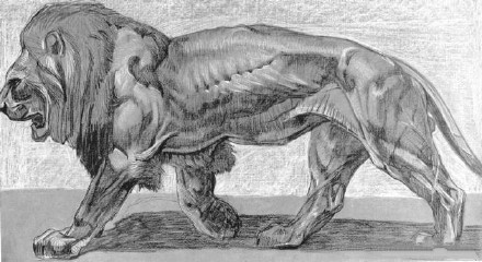 9张适合狮子座的狮子纹身作品图案