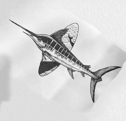 9张动物的黑色纹身手稿图片