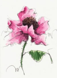 适合女生的一组水彩花卉纹身手稿图片