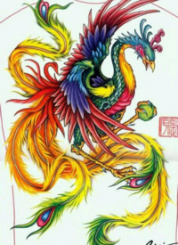40组凤凰主题的纹身手稿图片欣赏