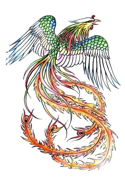 40组凤凰主题的纹身手稿图片欣赏