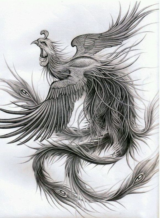 40组凤凰主题的纹身手稿图片欣赏