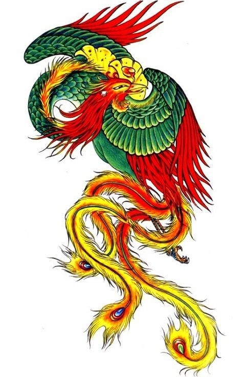 40组凤凰主题的纹身手稿图片欣赏
