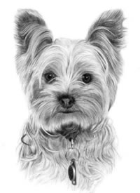 一组超可爱的爱宠小猫小狗纹身素材图片