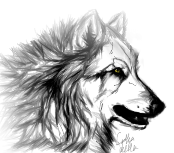 34组精美的狼纹身手稿图案欣赏