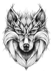 34组精美的狼纹身手稿图案欣赏