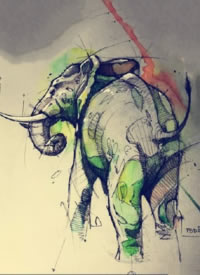 9张速写风格的动物纹身图片素材