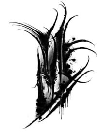 27组创意的黑色漂亮花体字纹身手稿参考