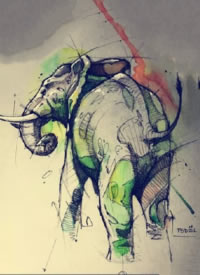 99911030+27组漂亮的线性动物纹身手稿图案