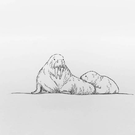 27组小清新的黑灰小图纹身图片素材